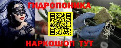a pvp Будённовск