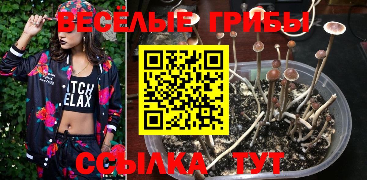 Махачкала  Галлюциногенные грибы мухоморы  Вход с VPN  Псилоцибиновые грибы Magic Shrooms 